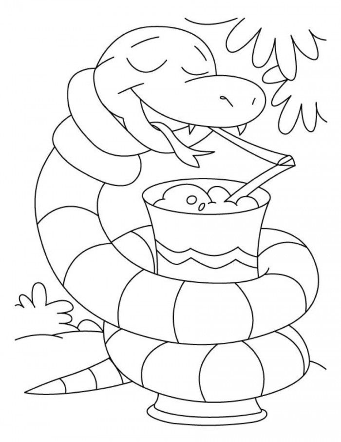 Online coloring book: Coloring book of anaconda on a cocktail